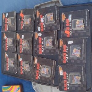 NASCAR Collector's Hat Pins(12)
